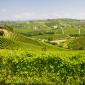 Italie_Langhe_2010